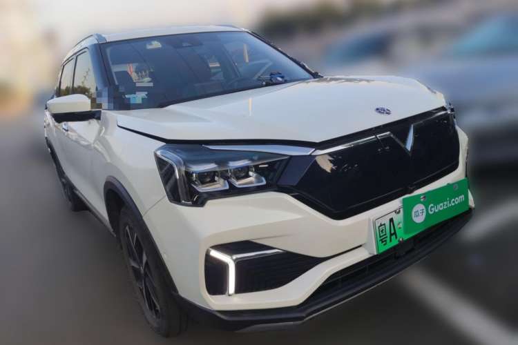 Used Venucia T60EV 2020 AI Flagship Model