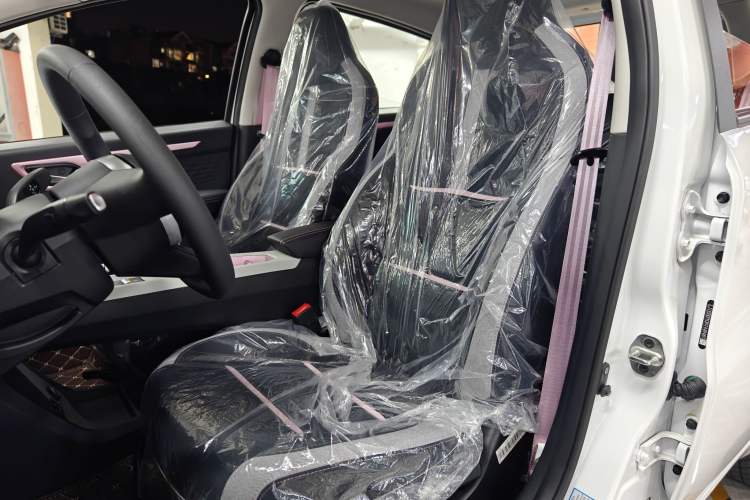 Used SOL E10X 2023 Anniversary Edition 301km Starry Sky 45kW