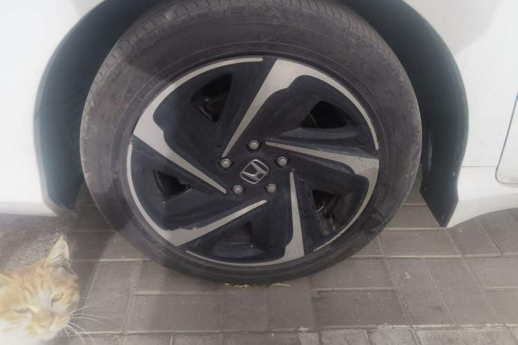 Used Honda Envix 2021 Lingpai Hybrid 1.5L Pure Enjoyment Version
