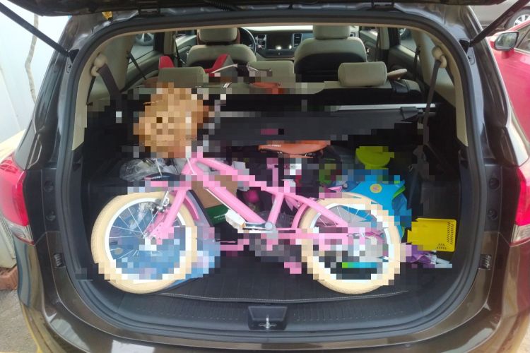 Used Kia  2013 2.0L 7-Seater Automatic Standard Version China IV Standard
