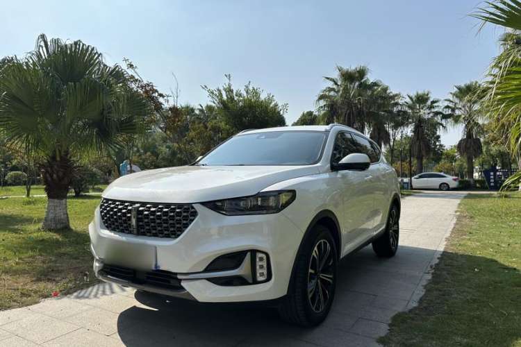 Used Wey VV6 2021 2.0T Two-Wheel Drive Smart Protection+