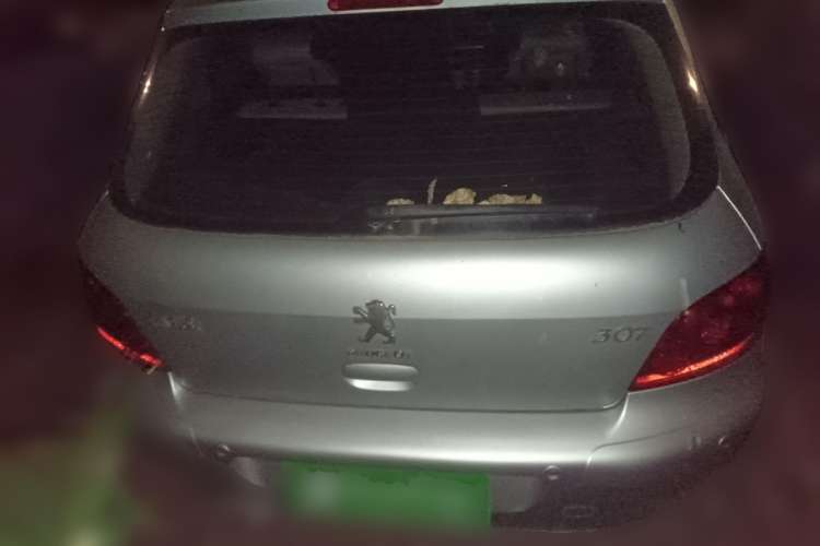 Used Peugeot 307 2010 Hatchback 2.0L Manual Comfort Edition
