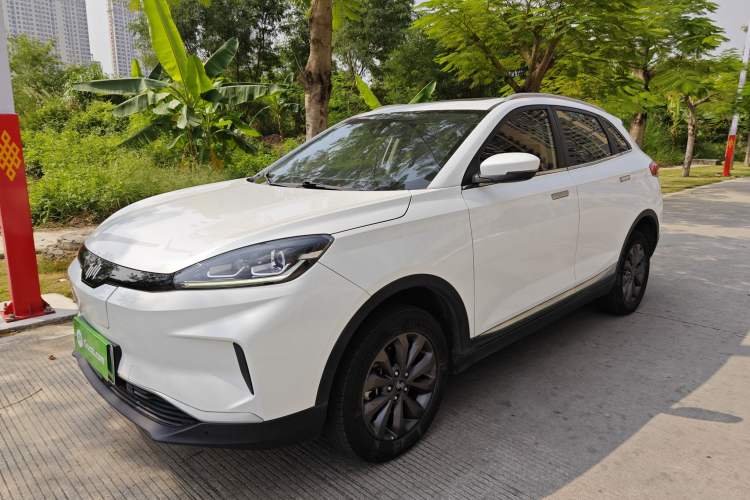 Used WM Motor EX5 2019 EX5 Mate Weymeng Edition 400