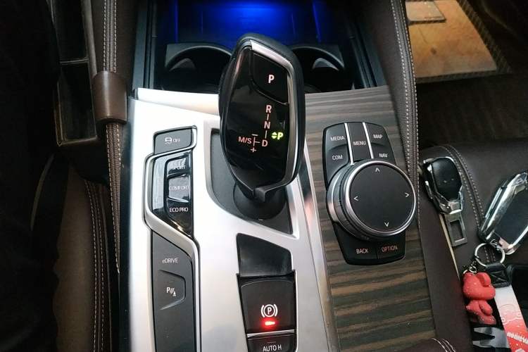 Used BMW 5 Series New Energy 2019 530Le Luxury Package