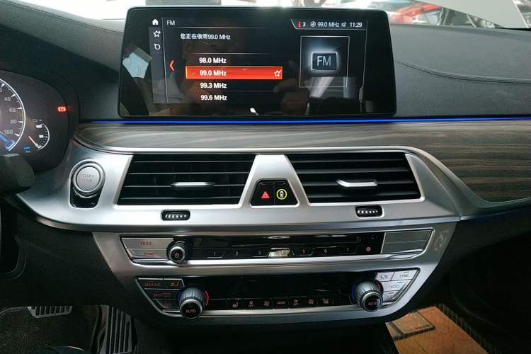 Used BMW 5 Series New Energy 2019 530Le Luxury Package