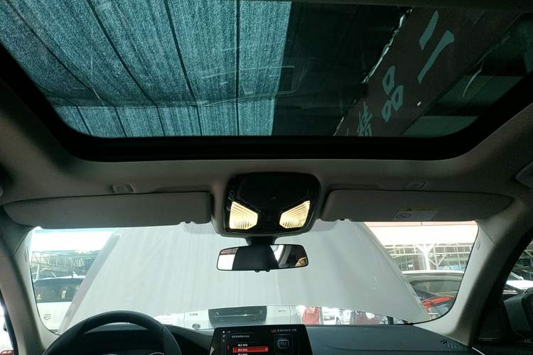 Used BMW 5 Series New Energy 2019 530Le Luxury Package