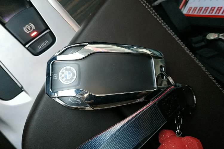 Used BMW 5 Series New Energy 2019 530Le Luxury Package