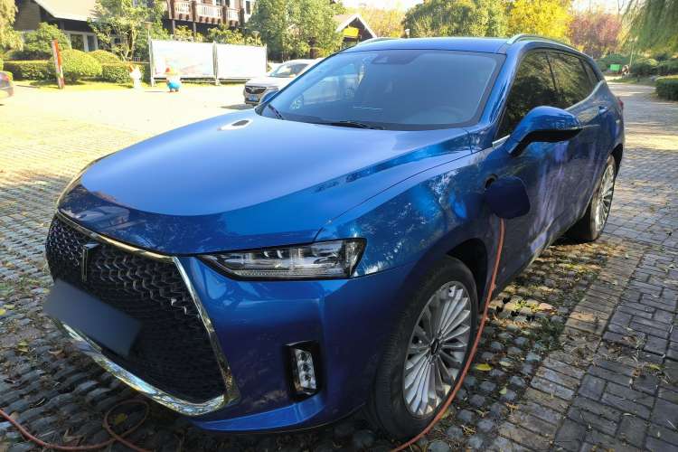 Used Wey P8 2018 2.0T Flagship Model