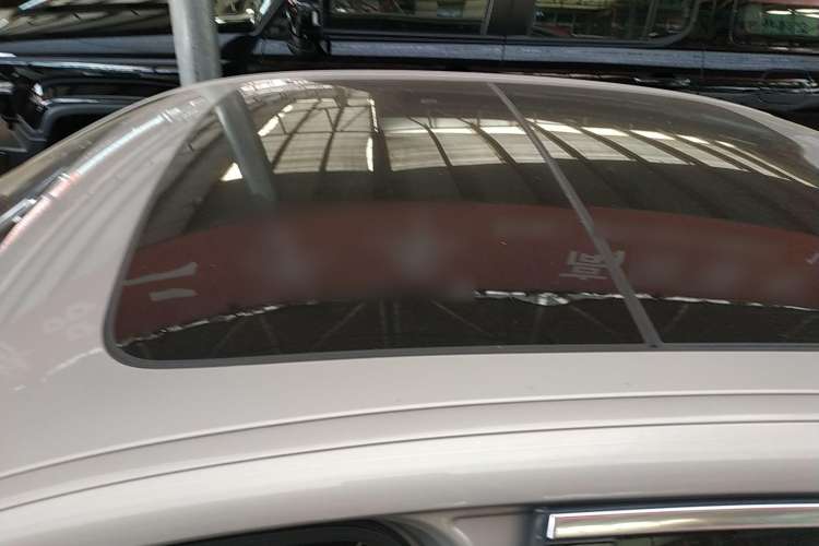 Used BMW 5 Series New Energy 2019 530Le Luxury Package