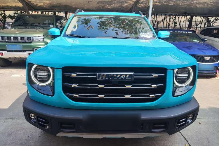 Used Haval DARGO 2021 2.0T DCT 4x4 Chinese Rural Dog Edition