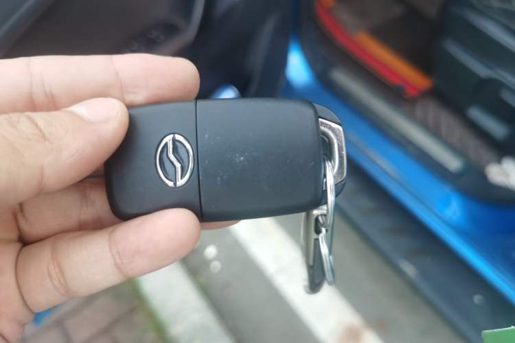 Used Zxauto Terralord 2021 2.5T Passenger Version Diesel Two-Wheel Drive Luxury Trim with Dual Wheels
