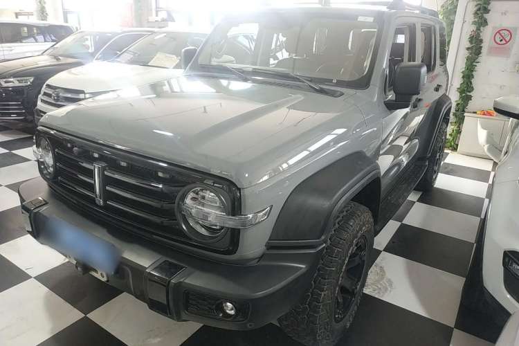 Used Cyberspace 300 2021 Off-Road Edition 2.0T Conqueror