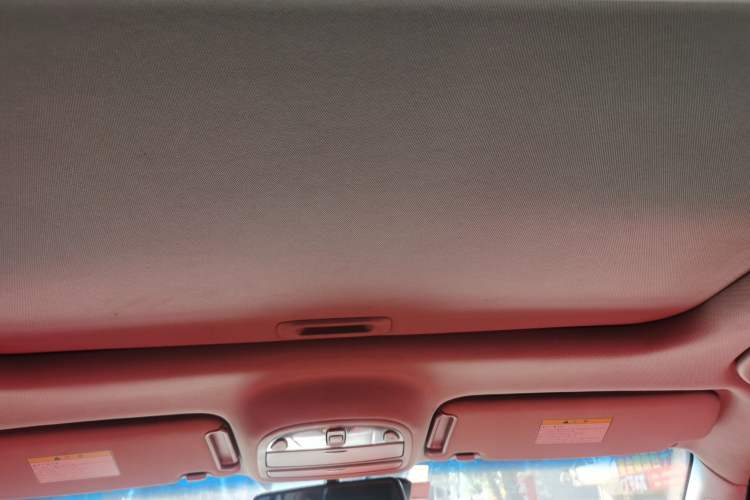 Used Hyundai Santa Fe Classic 2010 2.4 Ultimate Edition 7-Seater Four-Wheel Drive Headliner