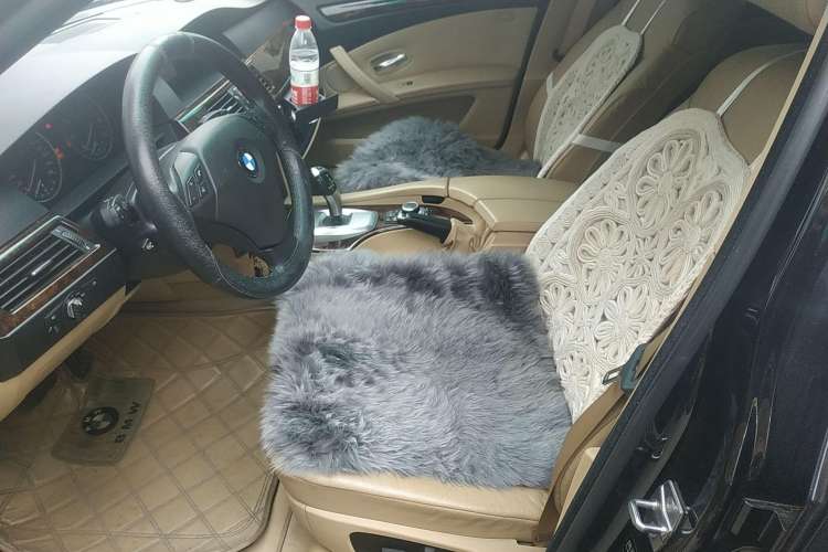 Used BMW 5 Series 2010 520Li Leading Model