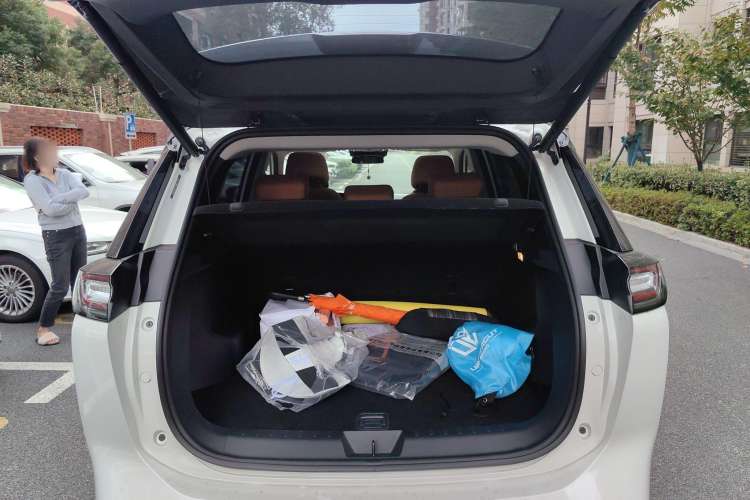 Used WM Motor W6 2021 520km ACE Advanced Intelligence Edition