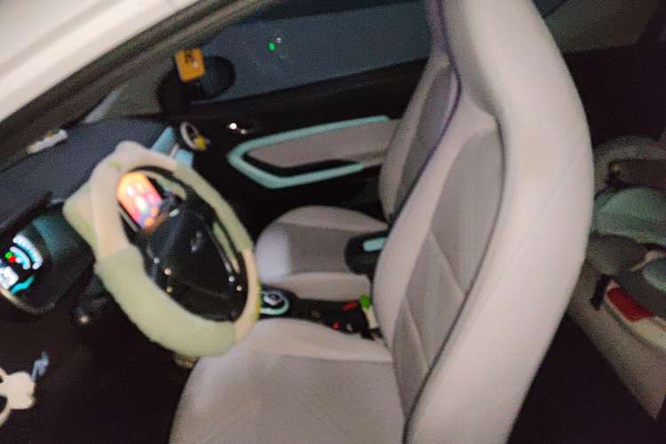 Used Chery New Energy Little Ant 2021 200 000-Yuan Ant Fan Edition Oxygen Version Lithium Iron Phosphate 301 km