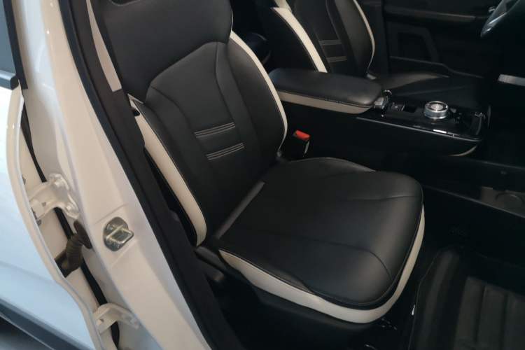 Used Geometry E Firefly 2023 401KM Lightning Tiger 5-Seater