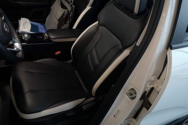 Used Geometry E Firefly 2023 401KM Lightning Tiger 5-Seater