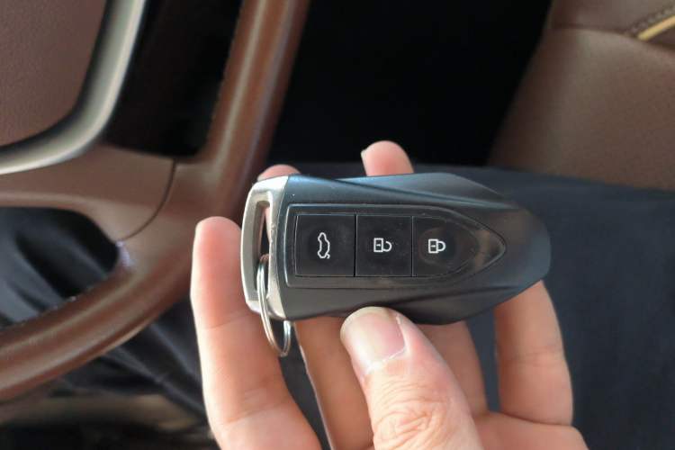 Used Leopaard CS10 2017 2.0T Automatic Urban Version