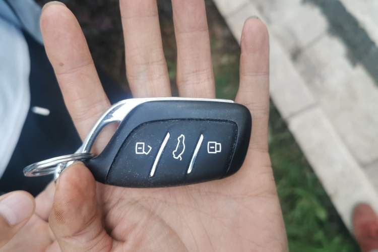 Used Rising ER6 2021 New Dynamic Edition 620km Smart Drive Version
