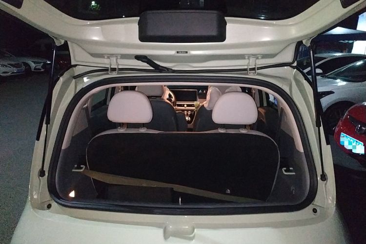 Used ORA White Cat 2022 Upgraded Model 305km Range Luxury Version Lithium-Ion Battery