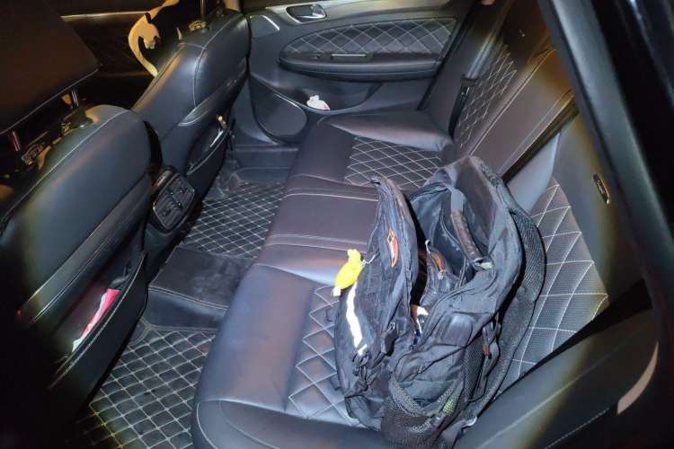 Used GAC Trumpchi GA8 2017 280T Deluxe Edition Left Rear Seat