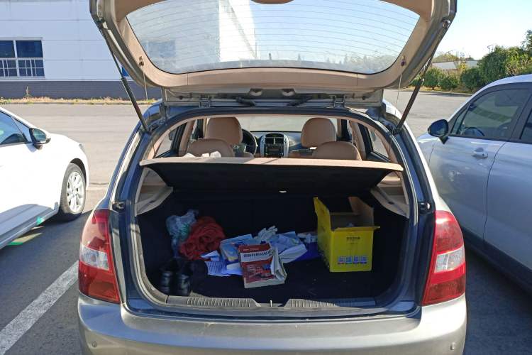 Used Kia 2008 European-style 1.6 AT GL
