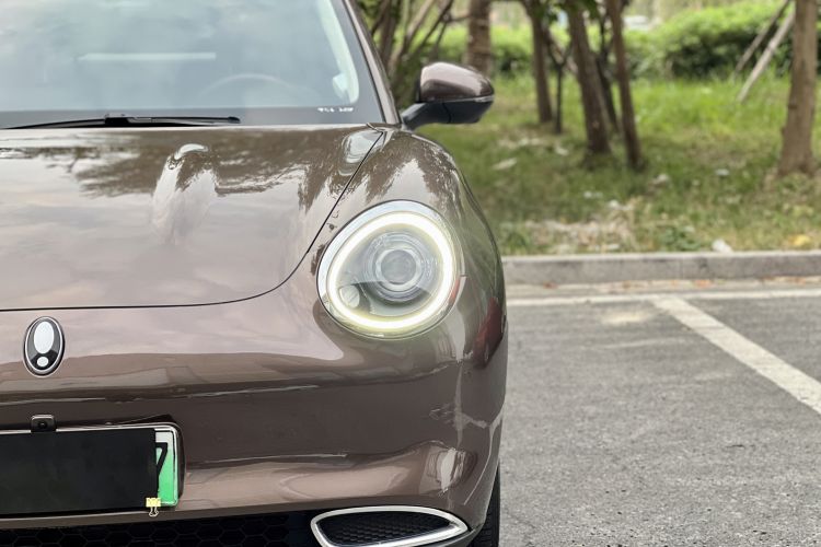 Used ORA Good Cat 2021 400km Standard Range Athena Edition Lithium-Ion Battery