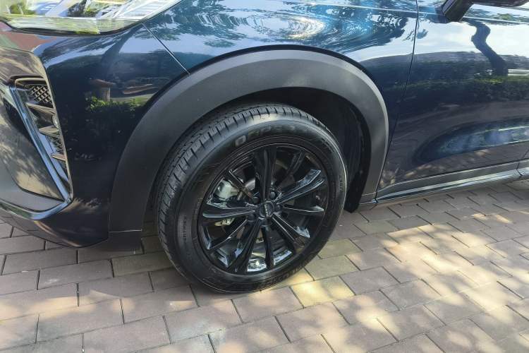 Used Haval H6S 2022 2.0T Two-Wheel Drive ZhiRun Version