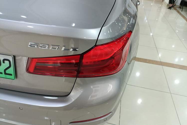 Used BMW 5 Series New Energy 2019 530Le Luxury Package