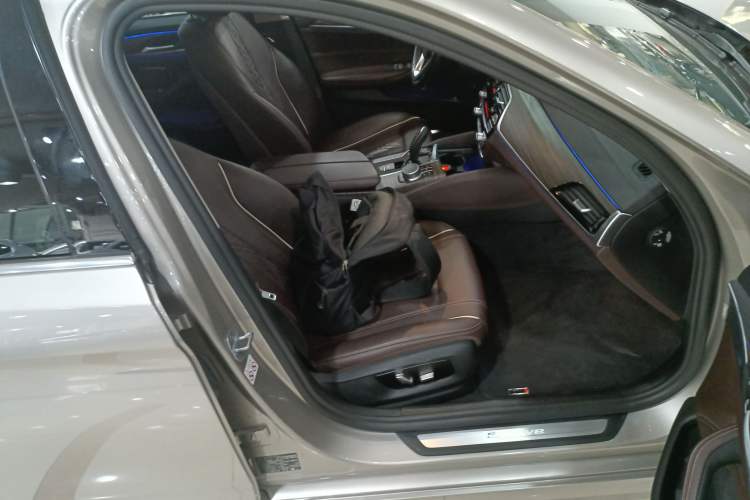 Used BMW 5 Series New Energy 2019 530Le Luxury Package