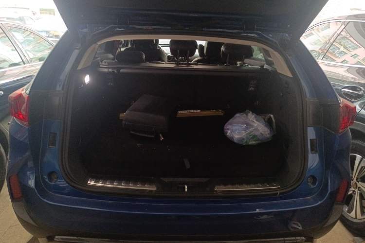 Used Wey P8 2018 2.0T Flagship Model