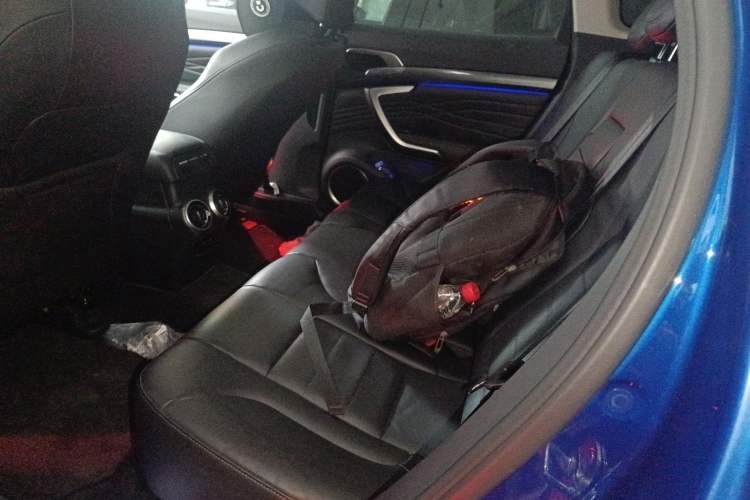 Used Wey P8 2018 2.0T Flagship Model