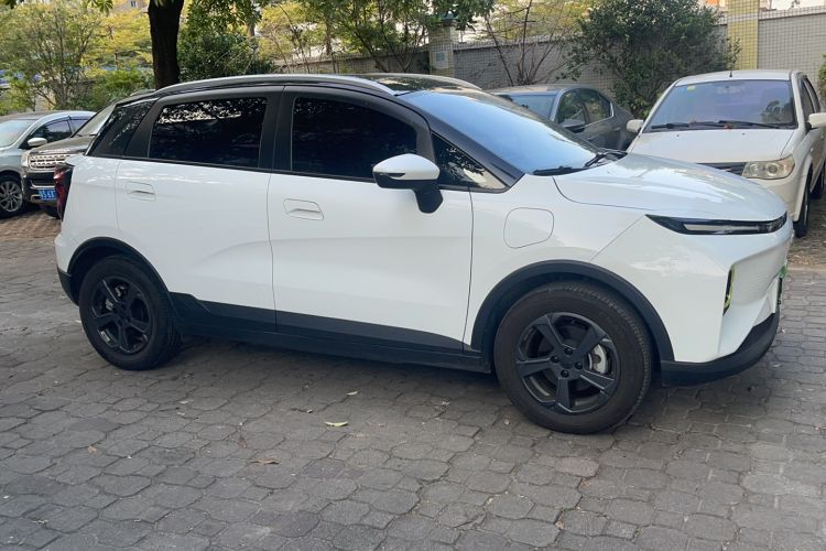 Used Geometry E Firefly 2022 401 km Linglong Tiger 4 Seats