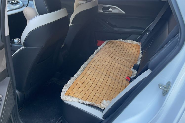 Used Geometry E Firefly 2022 401 km Linglong Tiger 4 Seats