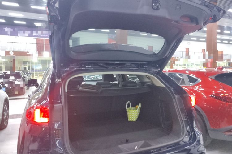 Used Wey VV7 2020 2.0T Ultra-Luxury Version