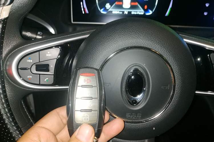 Used ORA White Cat 2020 401 km Long-Range Version
