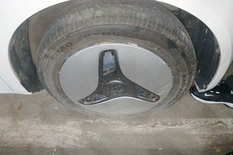 Used ORA White Cat 2020 401 km Long-Range Version
