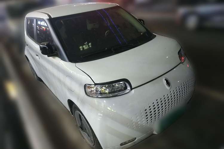 Used ORA White Cat 2020 401 km Long-Range Version
