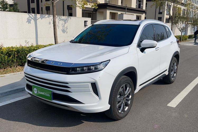 Used EXEED Zhuifeng 2022 Chasing the Waves Edition 1.5T CVT Good Things Peanut Edition