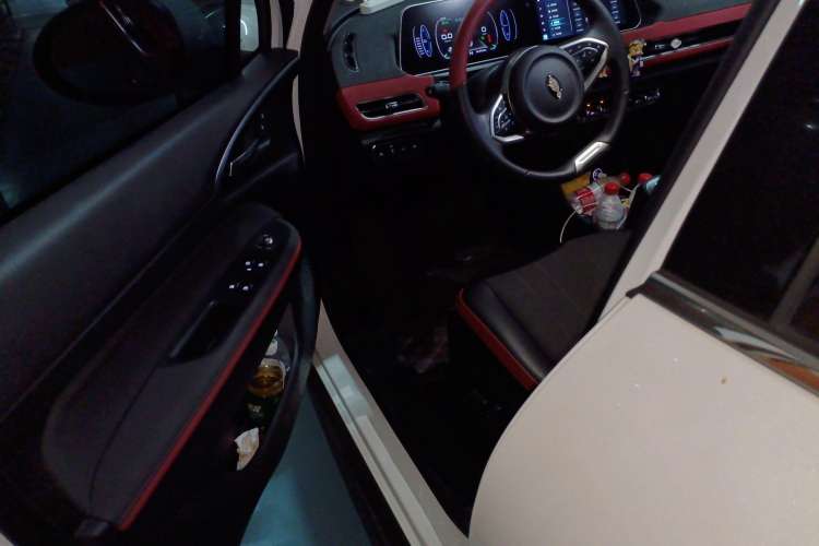 Used ORA Good Cat GT 2022 Mulan Edition 480km Long-Range续航 Driver Seat