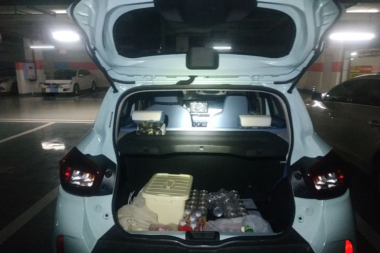 Used Dongfeng NAMMI BOX 2022 Light Wind Edition 201KM Lightning Model
