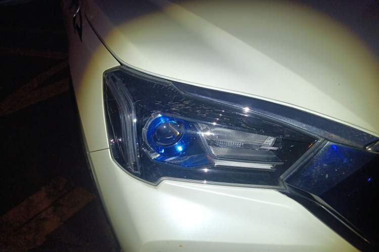 Used Venucia T60EV 2020 AI Enjoyment Model
