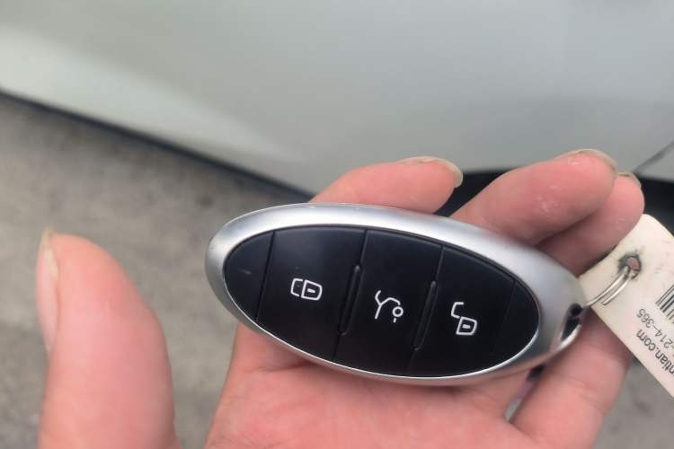 Used Bestune E01 2020 Gravitational Wave Model