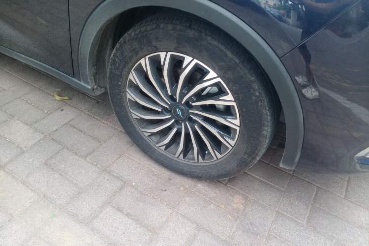 Used Oshan Cosmos 2019 1.5T Automatic Smart Version China VI Standard