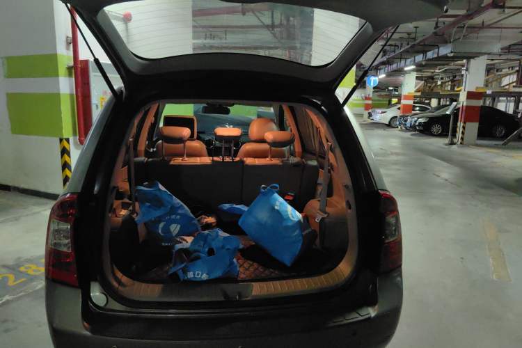 Used Kia 2011 2.0L 7-Seater Automatic Standard Edition
