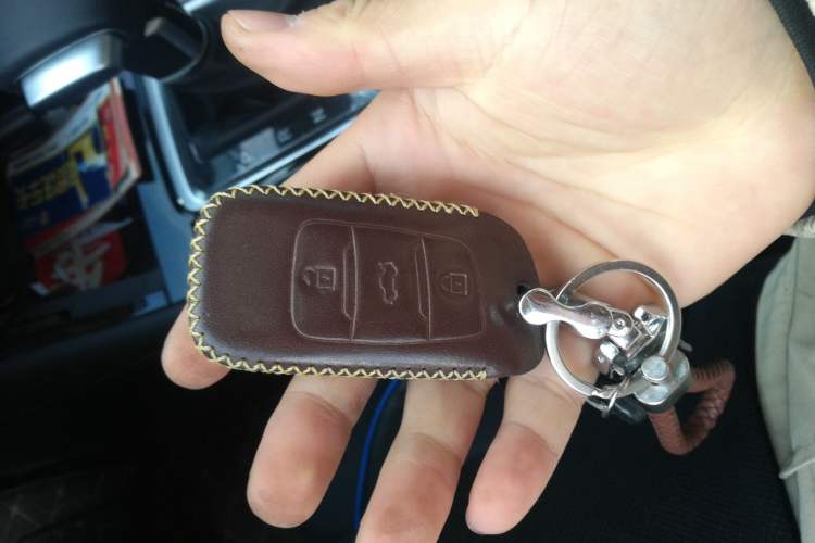 Used Oshan COSPro 2021 1.5T Automatic Luxury 7-Seater