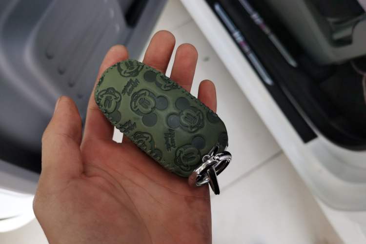 Used Geely Auto Panda Classic 2023 Panda Mini 200km Endurance Bear