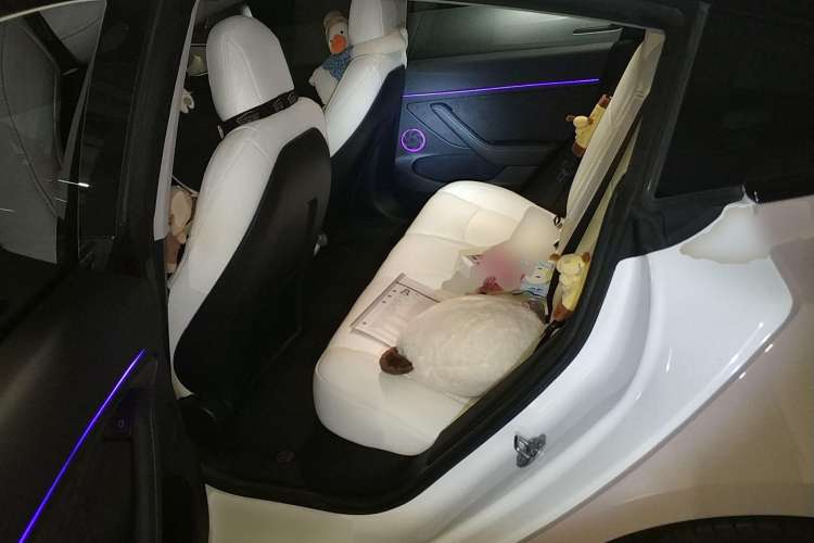 Used Tesla Model 3 2021 Standard Range Rear-Drive Upgraded Version
