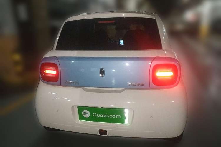 Used ORA Black Cat 2019 310km Fun Edition